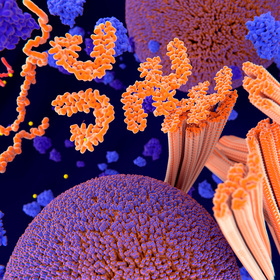 Modified tau thwarts aggregation in neurodegenerative disease