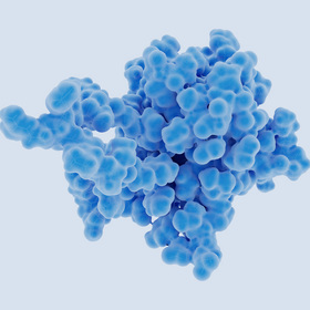 Metabolic hormone found to boost resilience against flu symptoms