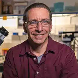 Ivo Spiegel, Ph.D.