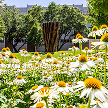 A granite-like sculpture with a field of daisies in front and a row of large trees behind.